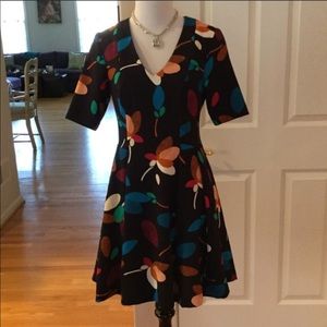 Anthropologie Baraschi Fit and Flare Dress